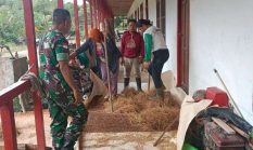 Meringankan Beban Masyarakat” Babinsa Koramil Batang Lupar Bersama Warga Binaannya Gotong Royong Merontokan Benih Padi Secara Manual