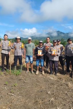 Dukung Program Ketahanan Pangan, Kapolsek Tumbang Titi Gandeng Pemerintahan Desa Untuk Tanam Bibit Jagung Hibrida