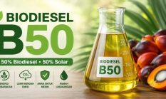 Mulai 1 Juli 2026, Pemerintah Terapkan Biodiesel B50 Secara Bertahap, Masa Transisi Tiga Bulan