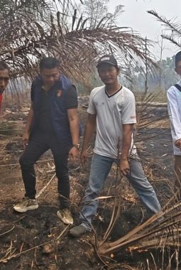 Karhutla, Bibit Sawit dan Video Viral: Warga Sekunder C Rasau Jaya Tiga Minta Fakta Diluruskan