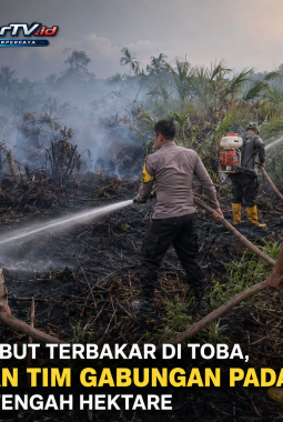 Lahan Gambut Terbakar di Toba, Polisi dan Tim Gabungan Padamkan Api Seluas Setengah Hektare.